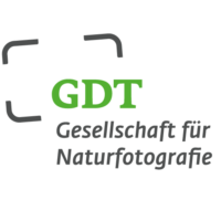GDT_Logo-DE_grau-gruen_500.png