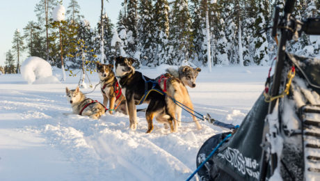 Lappland, © Katrin Schmidt