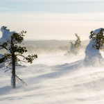 Lappland © Katrin Schmidt