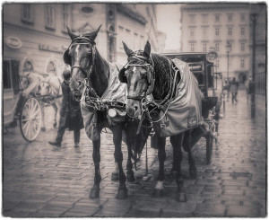 Lightroom Seminar Torsten Kieslich