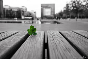 ThyssenKrupp Quartier © Kerstin Ostendorf