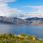 Blick auf den Fjord, Island, © Katrin Schmidt