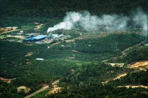 Borneo, © Florian Smit