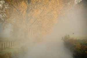 Herbst fotografieren, © Katrin Schmidt