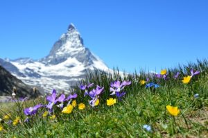Matterhorn, Quelle: Pixabay