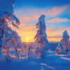 Schnee-Foto bei Sonnenauf- oder untergang
