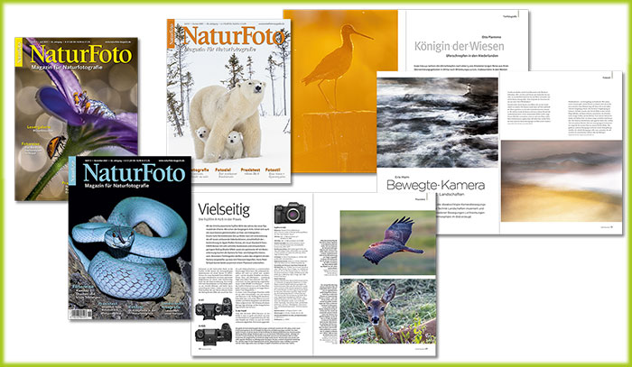NaturFoto_Newsletter2