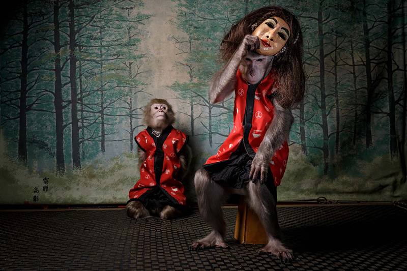 Europäischer Naturfotograf des Jahres 2020, Gesamtsieger Jasper Doest "Des Affen Maske"